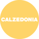Calzedonia